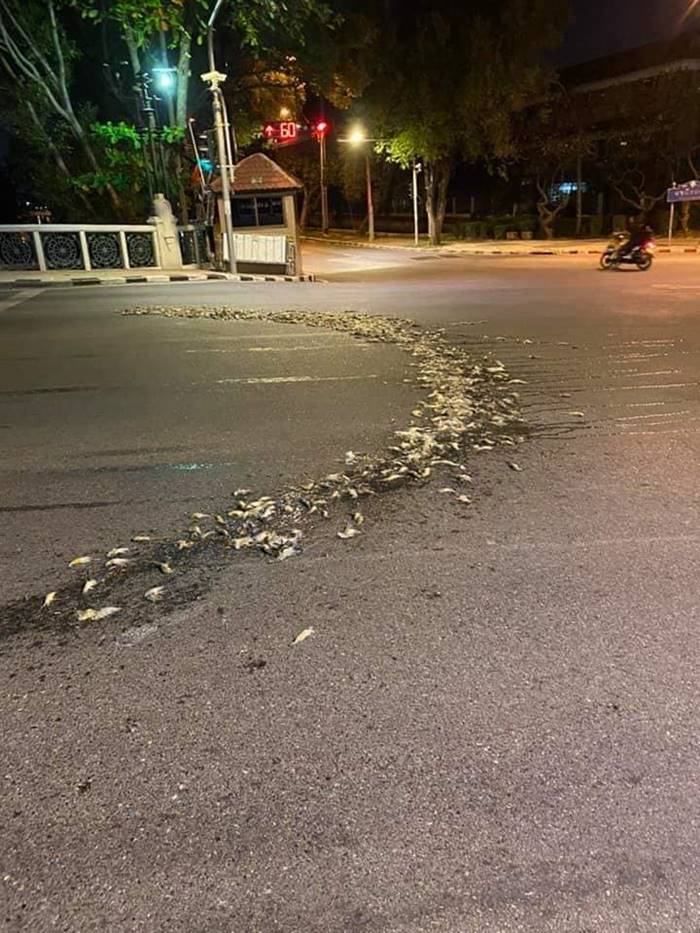 ม็อบย่างกุ้ง