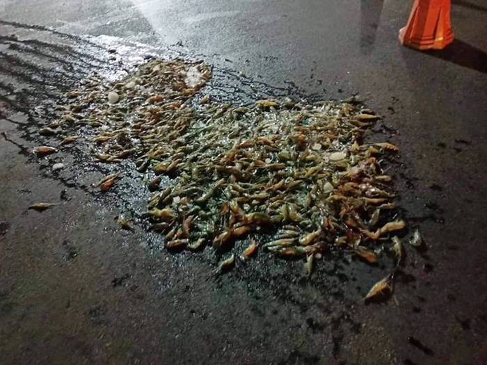 ม็อบย่างกุ้ง