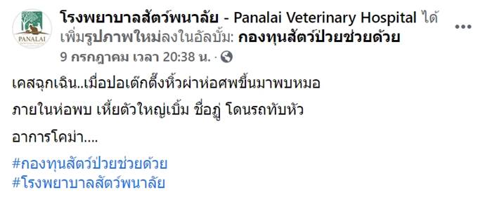 เหี้ยฏู่