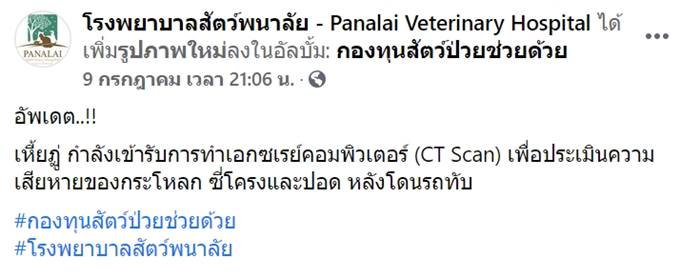 เหี้ยฏู่