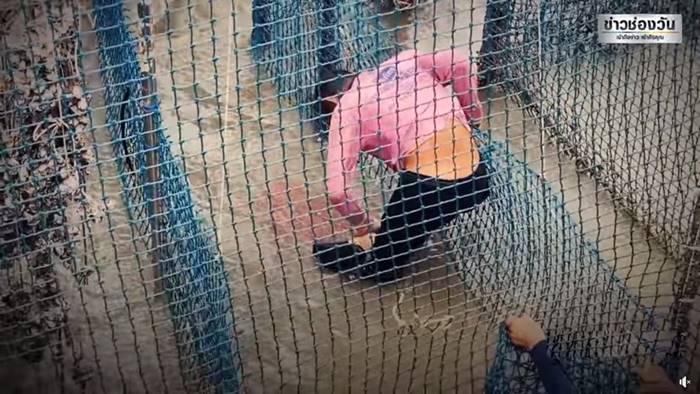 ฉลามกัด