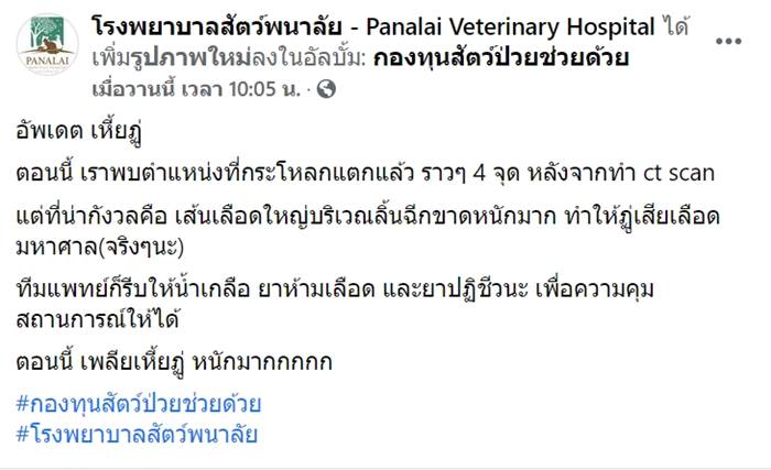 เหี้ยฏู่