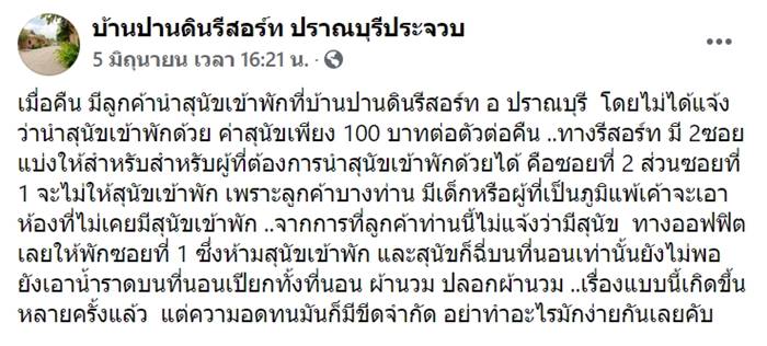 หมาฉี่ใส่ที่นอน