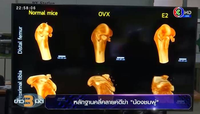 ข่าวลุงพล