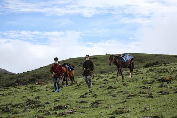 กษัตริย์จิกมี, กษัตริย์ภูฏาน