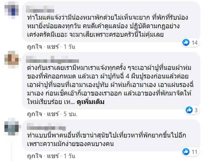 หมาฉี่ใส่ที่นอน