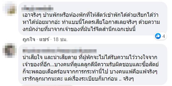 หมาฉี่ใส่ที่นอน