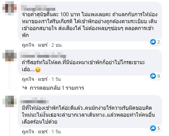 หมาฉี่ใส่ที่นอน
