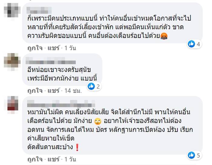 หมาฉี่ใส่ที่นอน