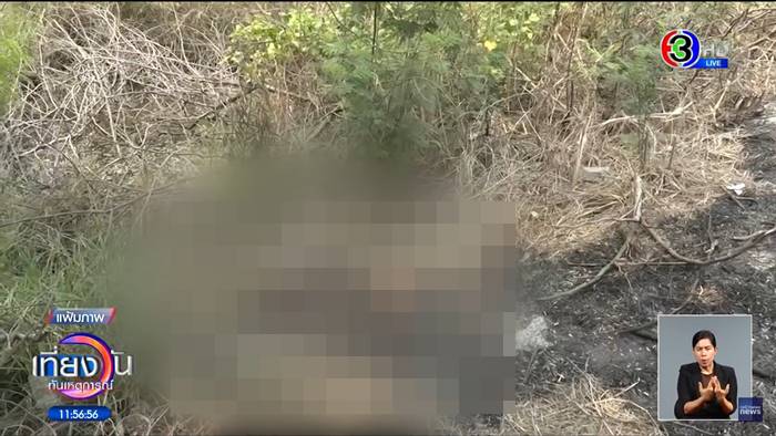 ฆ่าหั่นศพ