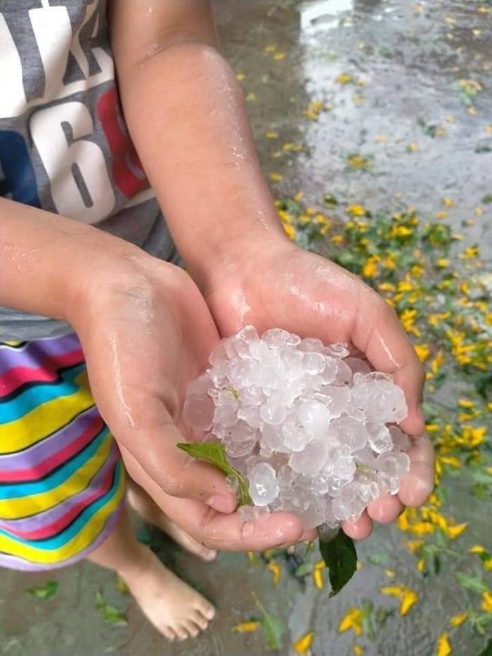 พายุฤดูร้อน