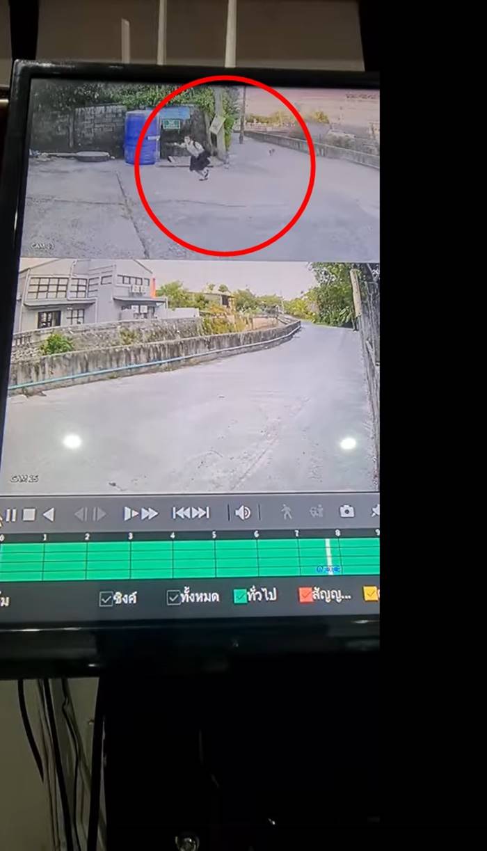 หมาไล่กัดเด็ก