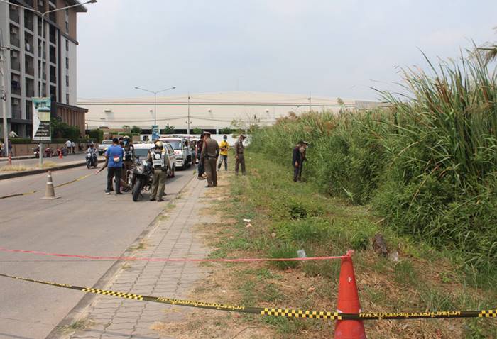 ฆ่าปาดคอ