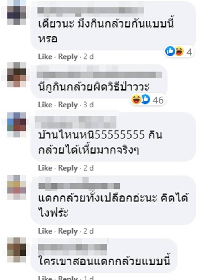 ผลไม้ปลอม