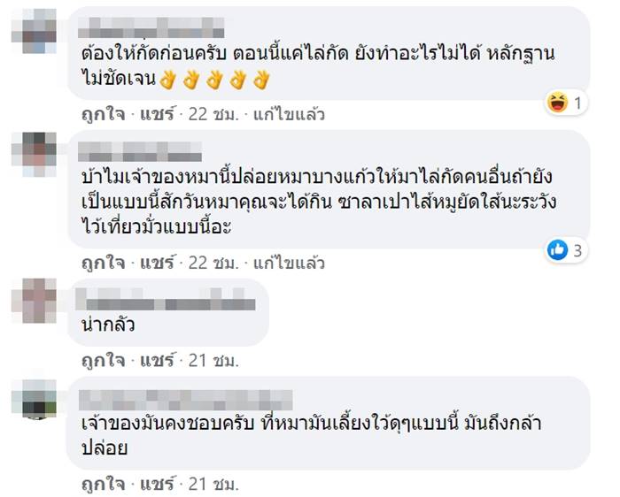 หมาไล่กัดเด็ก