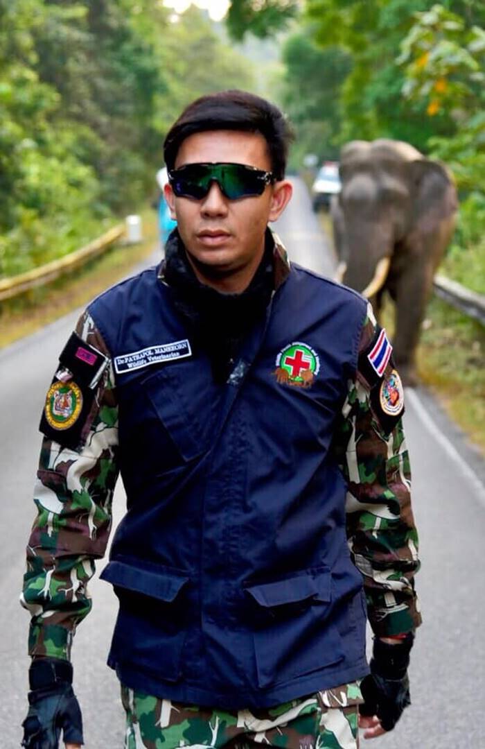 ช้างป่า