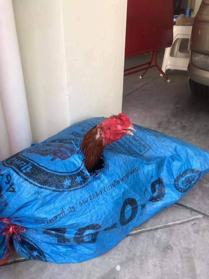 สลายการชุมนุมหมู่บ้านทะลุฟ้า