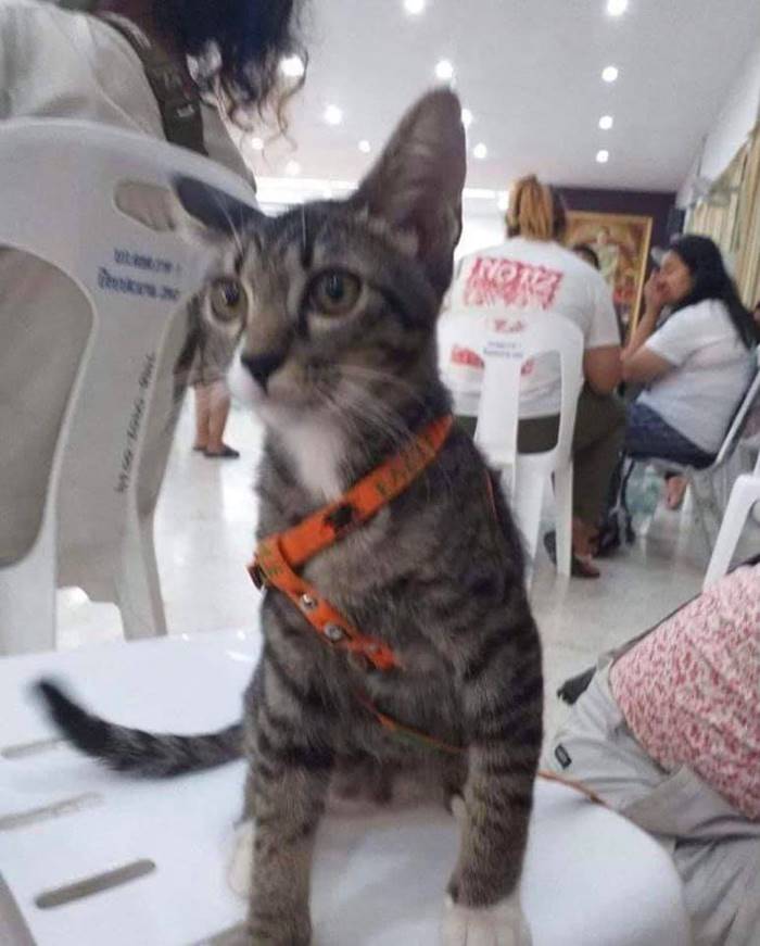 สลายการชุมนุมหมู่บ้านทะลุฟ้า