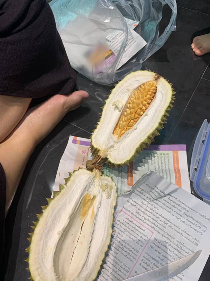 ทุเรียนแปลก