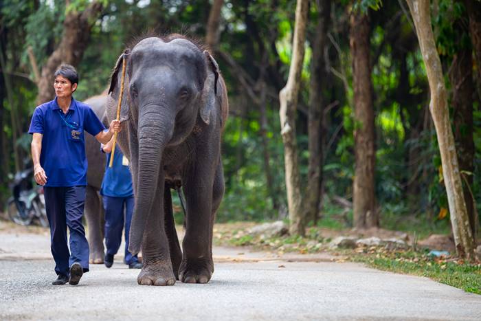 สวนเสือศรีราชา
