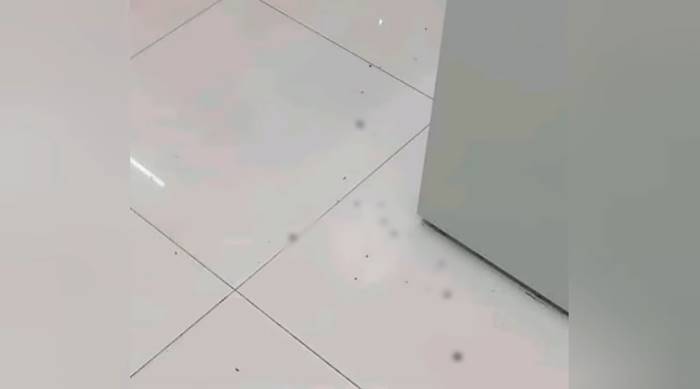 มนุษย์ลุง