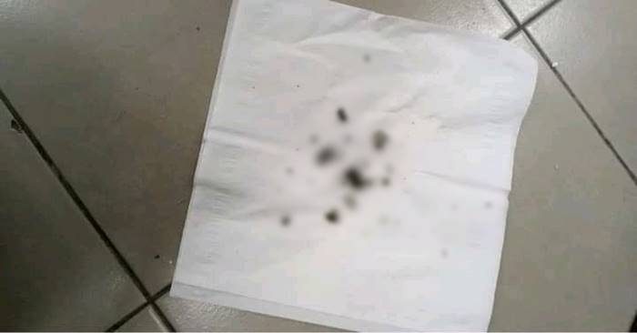 มนุษย์ลุง