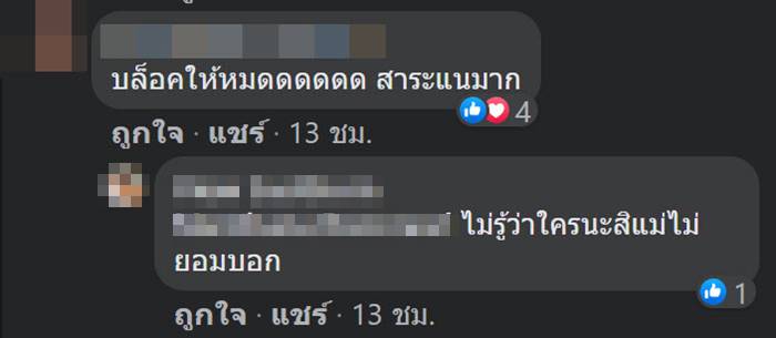 แต่งหน้าสาย ฝ. 
