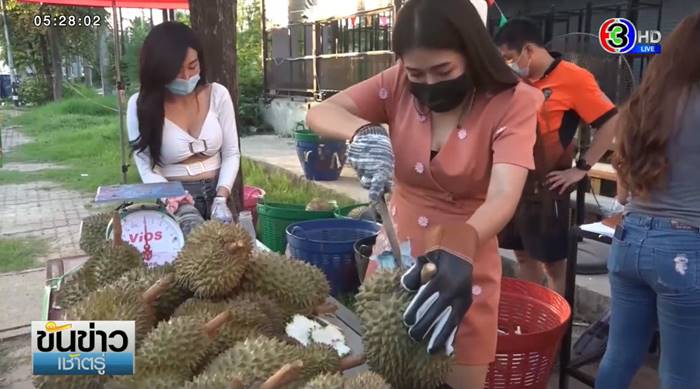 ทุเรียน PR