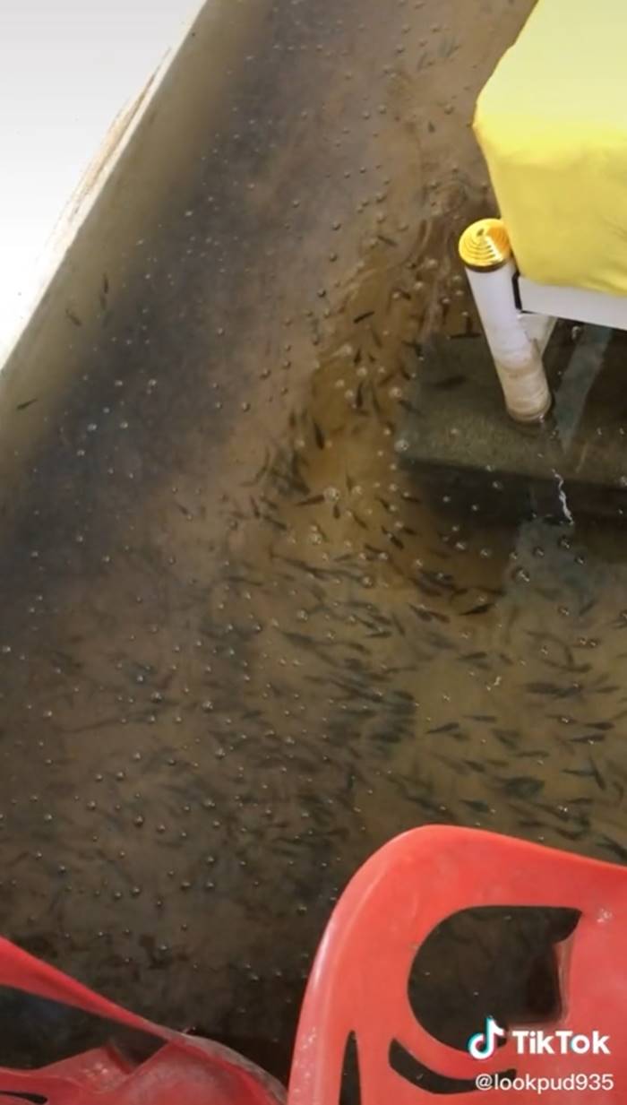 น้ำท่วมนครปฐม