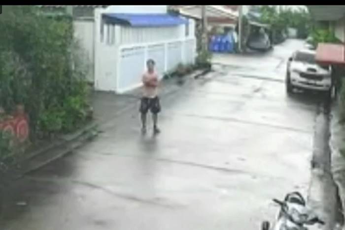 ร็อตไวเลอร์กัดคน