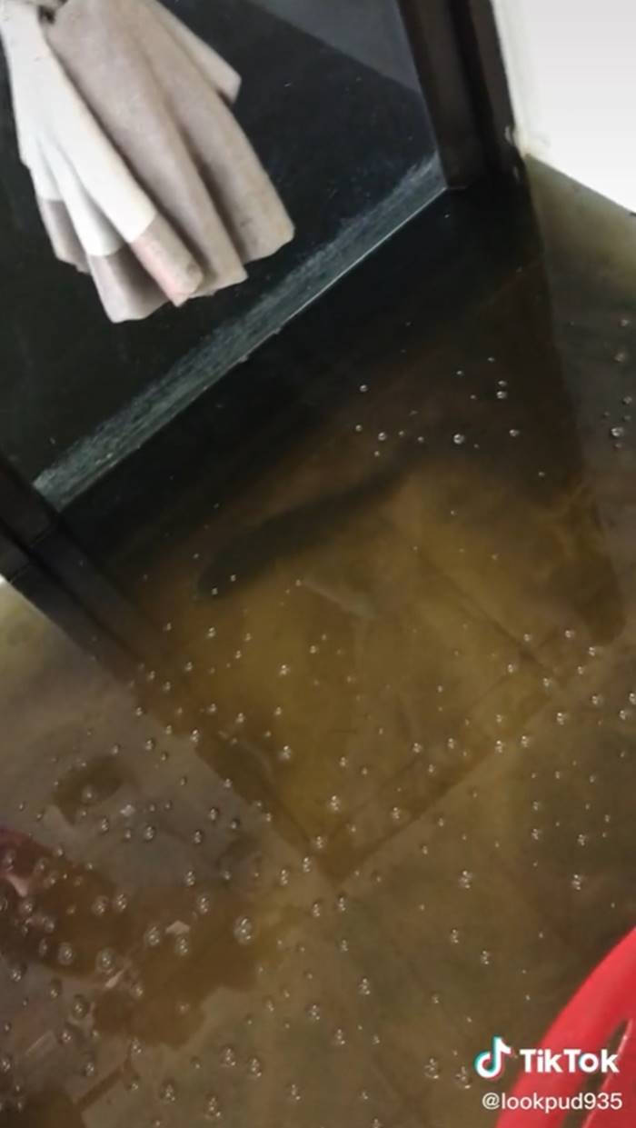 น้ำท่วมนครปฐม