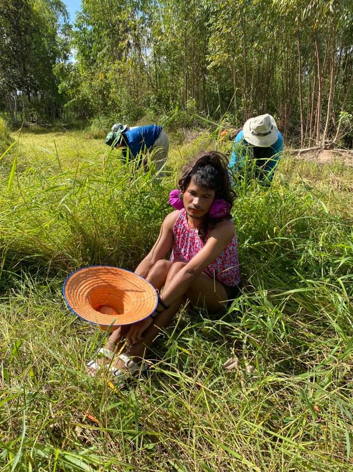 โอวาขายข้าว