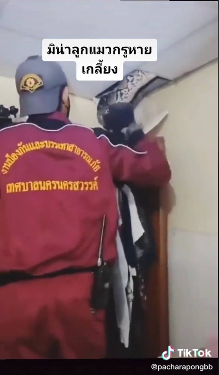 งูเข้าบ้าน
