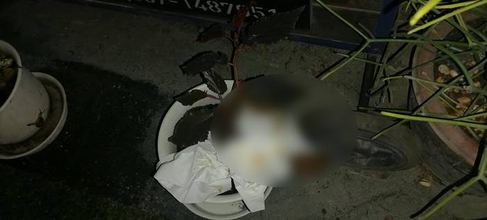 คนขี้หน้าร้านกาแฟ