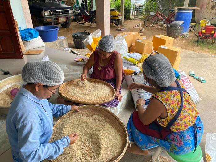 โอวาขายข้าว