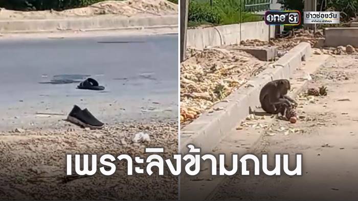 รถเหยียบคน