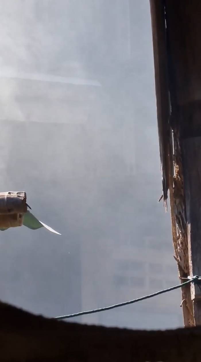 ปัญหาเพื่อนบ้าน