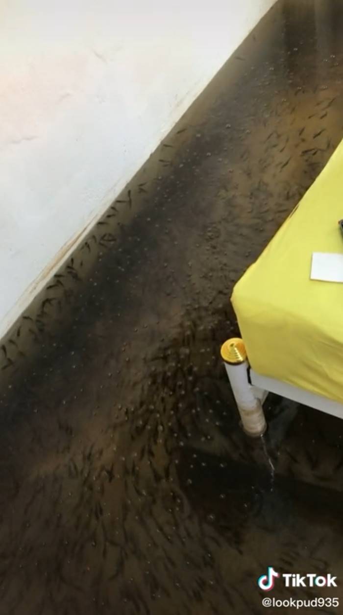 น้ำท่วมนครปฐม