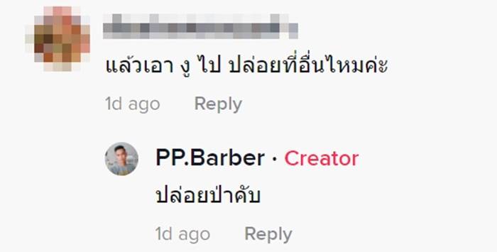 งูเข้าบ้าน