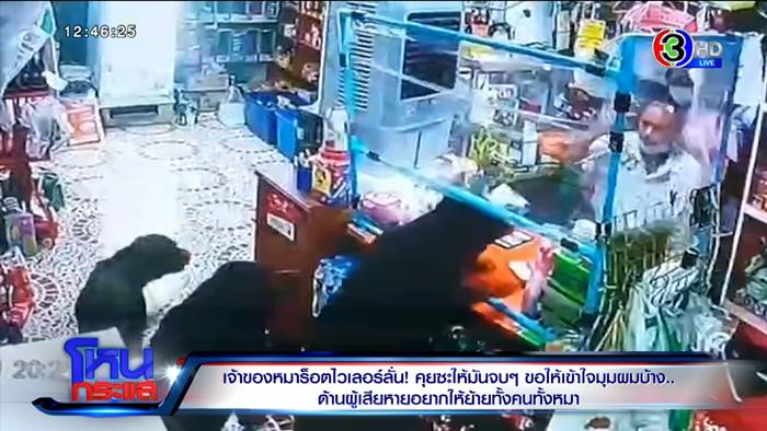 ร็อตไวเลอร์กัดคน