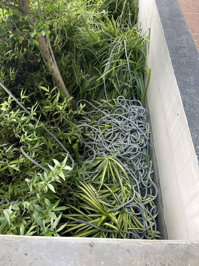 ตัดเชือก, คอนโด