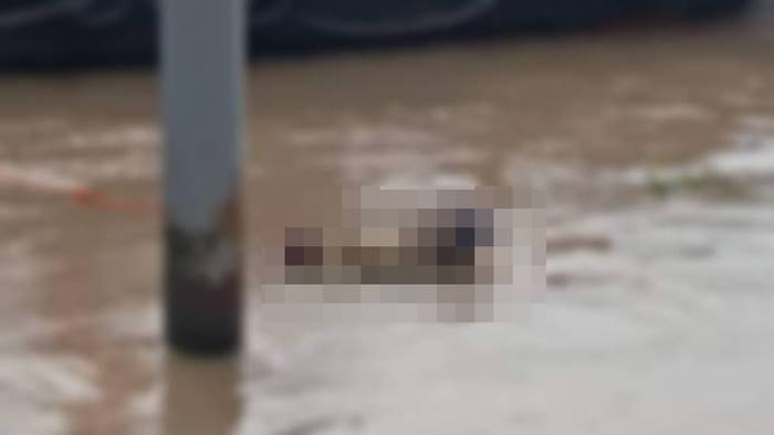 เรือล่มหน้าวัดพนัญเชิง