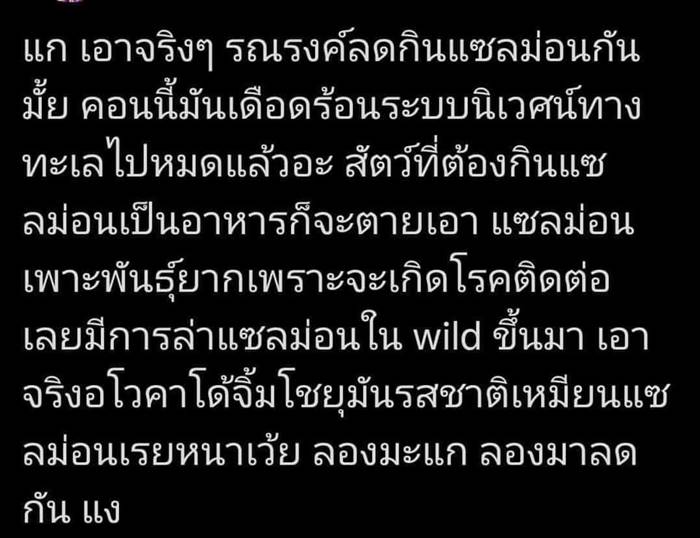 ปลาแซลมอน