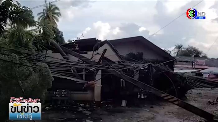 ต้นยางนาโค่น