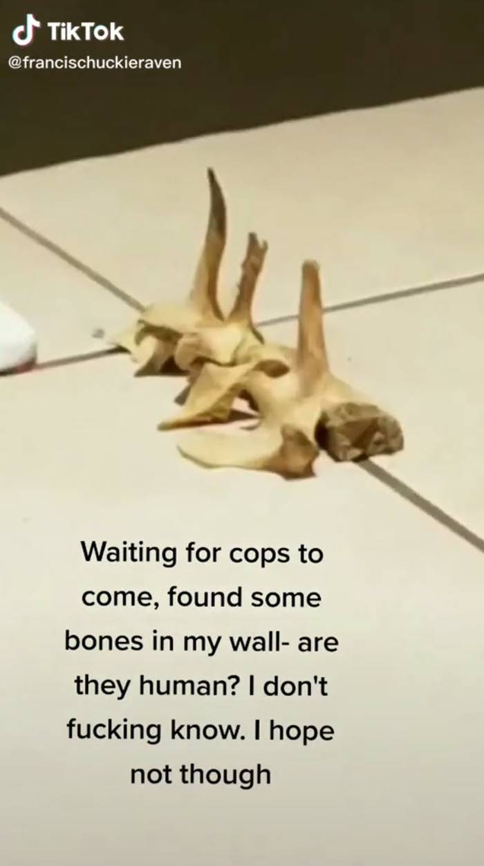 กระดูกปริศนา