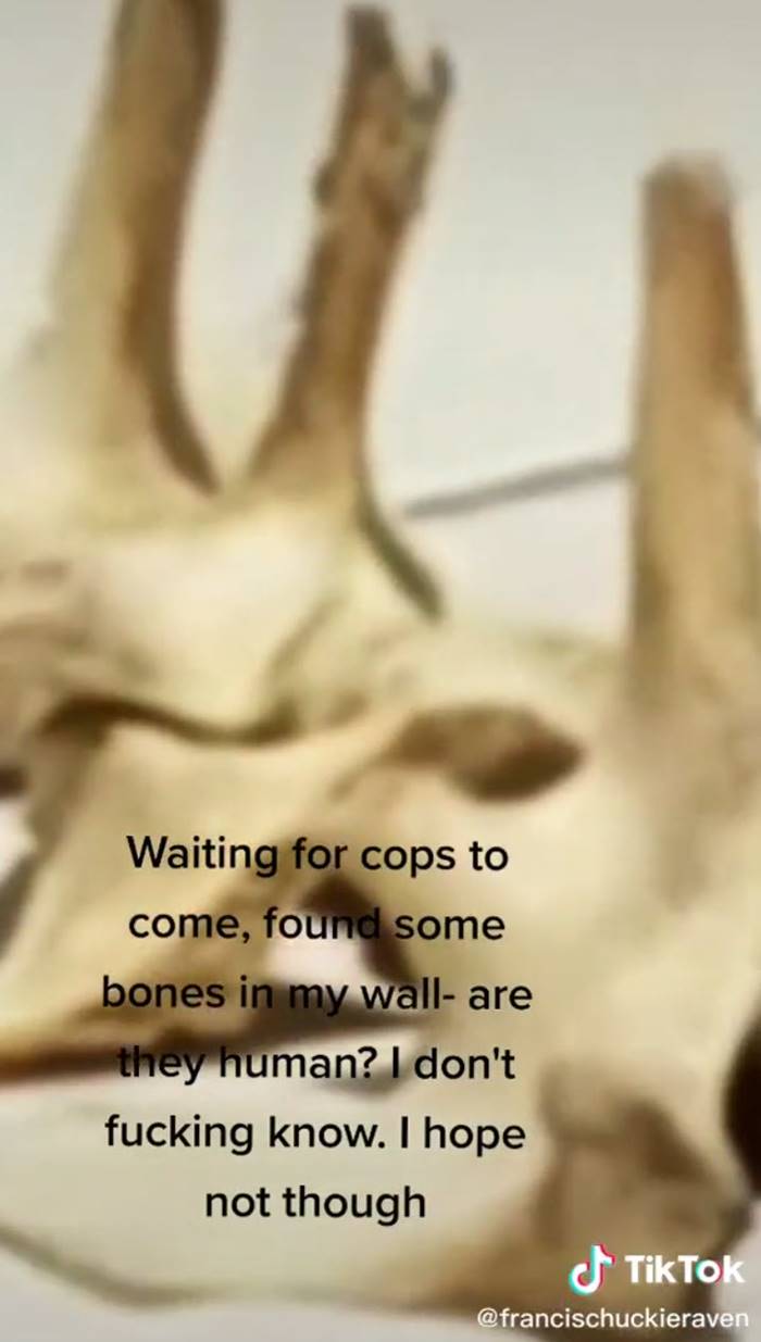 กระดูกปริศนา