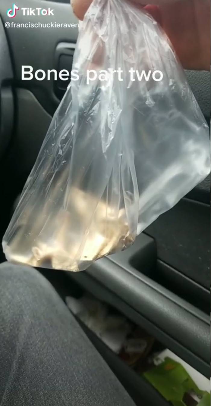 กระดูกปริศนา