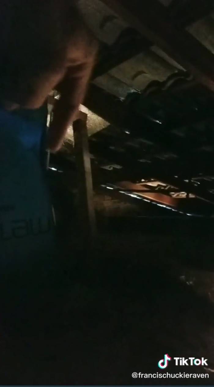 กระดูกปริศนา