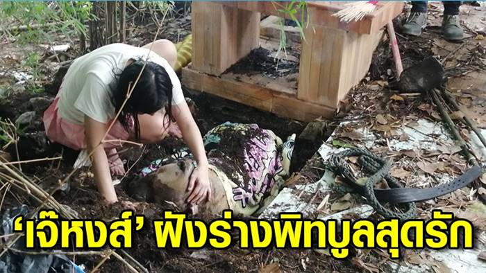 พิตบูลตายในรถ