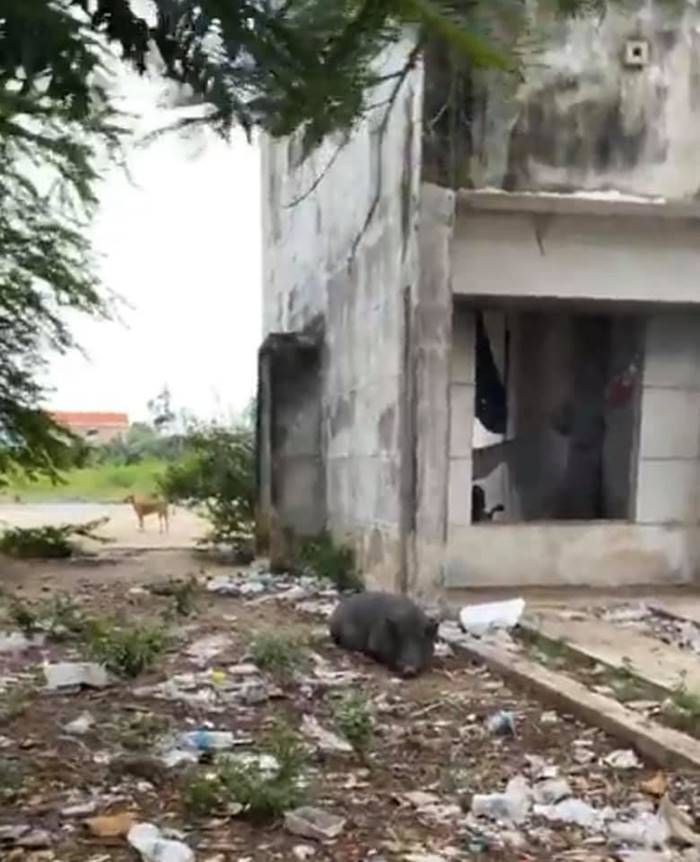 นัชญ์ ทูนหัวของบ่าว